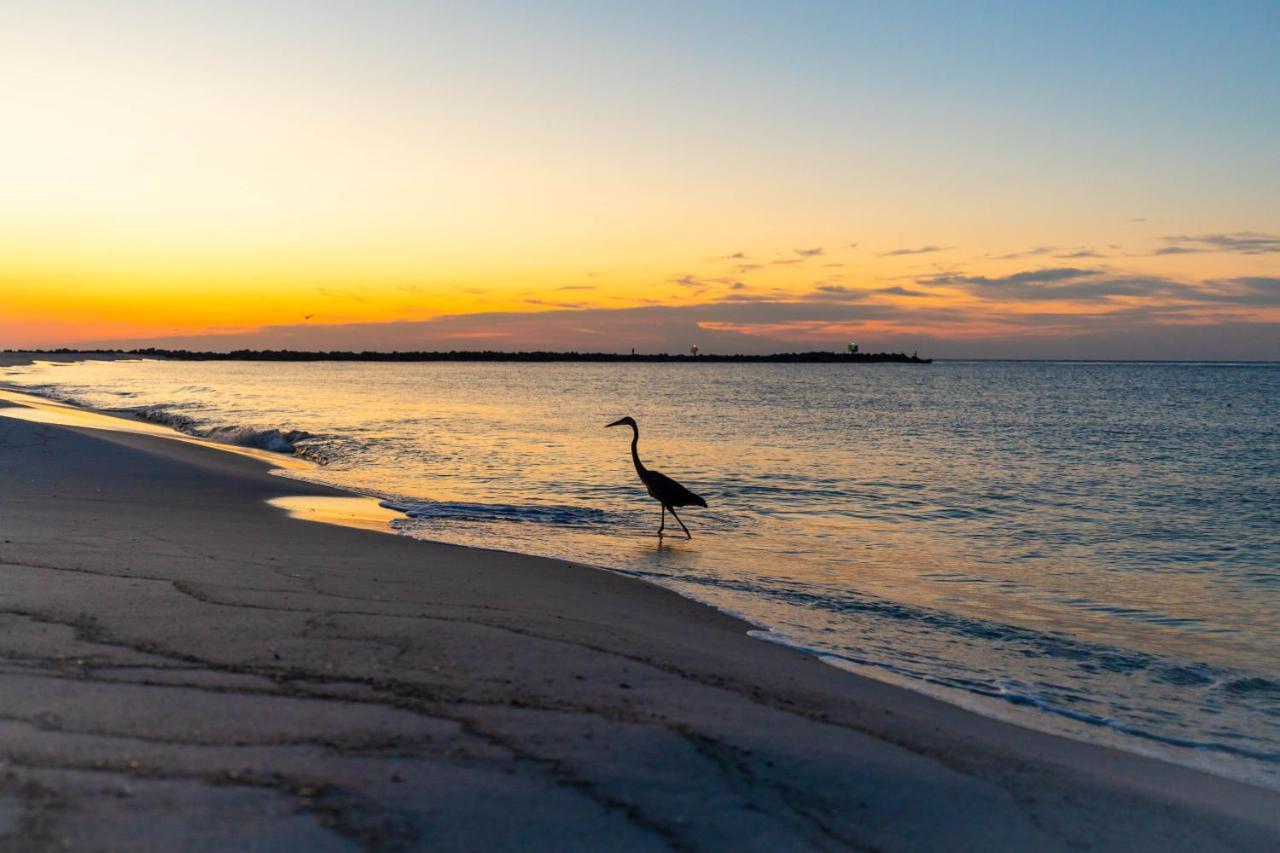 Perdido Beach Resort Orange Beach Eksteriør bilde